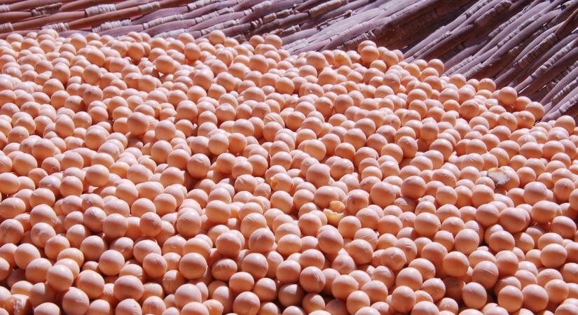 Vége az "olcsó" takarmánynak? Ezt megérezhetik az európai gazdálkodók!