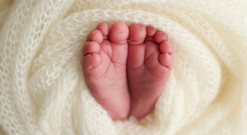 Kiskunhalasi anyakönyvi hírek