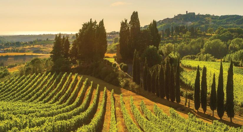 Akik nélkül nincs olasz gazdaság: a családok