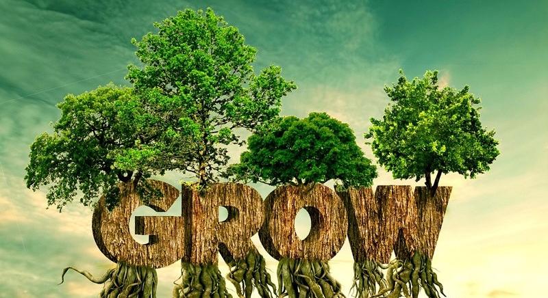 Egyensúly Intézet: csak lassan stabilizálódhat a beruházási aktivitás