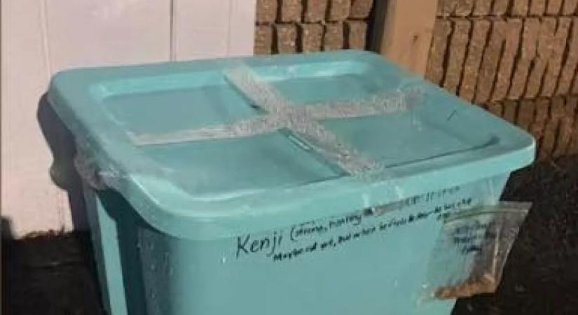 Furcsa üzenet volt a lezárt műanyag dobozon az állatorvos előtt: sokk, mi volt benne