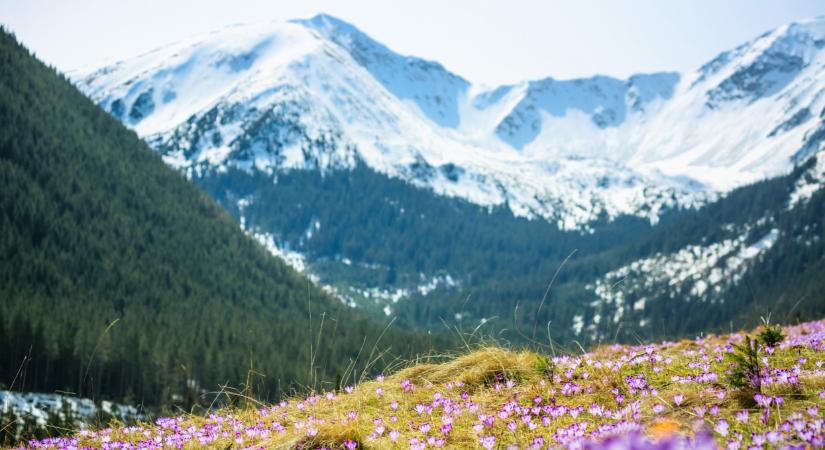 Közel félmilliós bírságra számíthatnak ezek a magyar kirándulók: már fényképezni sem szabad!