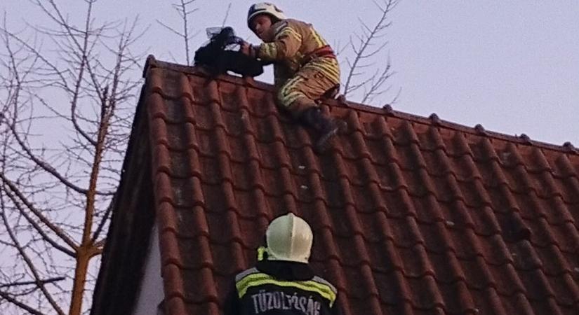 Nem hiszi el, kit mentettek ki szorult helyzetéből a tűzoltók péntek 13-án