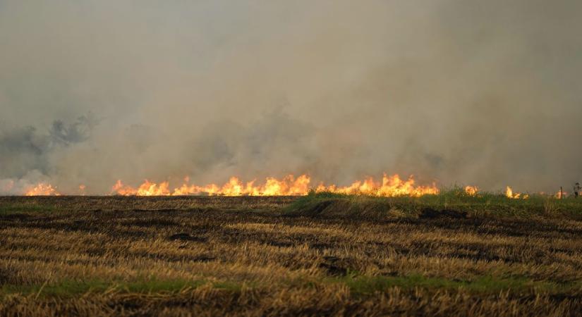 Ismét lángra kapott a növényzet Tiszafürednél, folyamatosan érkeznek a tűzoltók a helyszínre