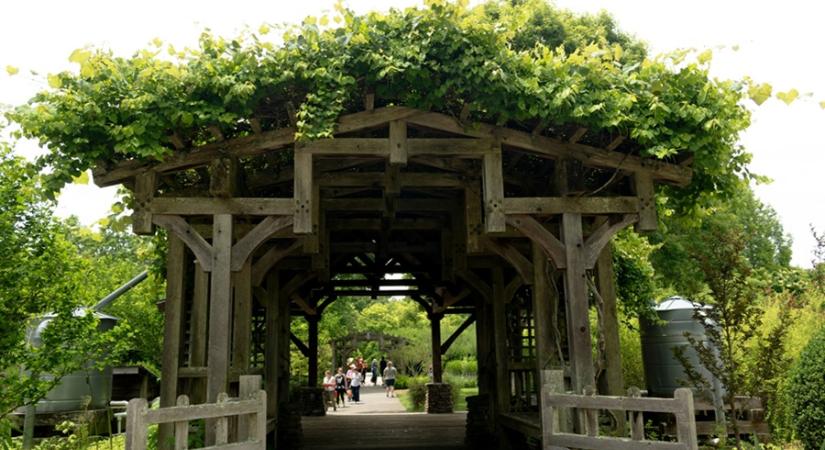 Arborétum nyílik a Veszprémi Tavaszi Tárlaton