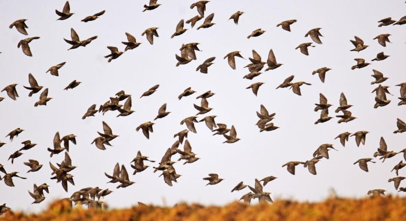 Drámai fordulat Zala időjárásában – vége a napsütéses tavasznak?