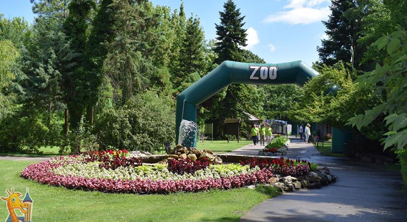 Eljárás indul a Palicsi Állatkertben történtekkel kapcsolatban