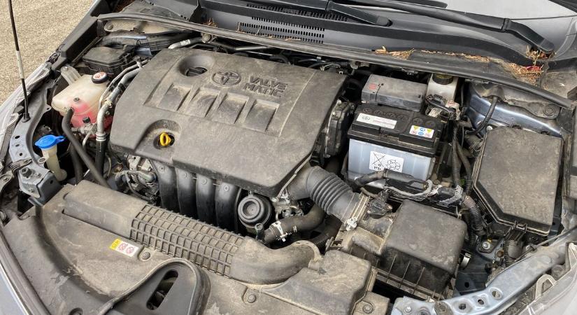 Rágyújtja a házát, feleteti a disznókkal – így fenyegetett a zsaroló dunántúli nepper