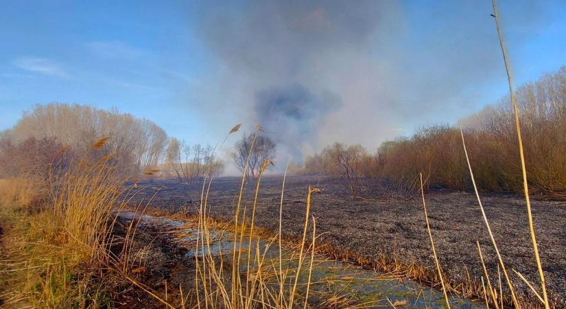 Hatalmas füst gomolyog a Tisza-tó felett, nagy erőkkel dolgoznak a tűzoltók - videók