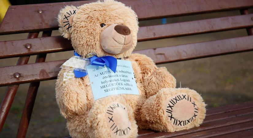 Bárhol felbukkanhatnak a medvék szerte a városban – most még begyűjtik őket