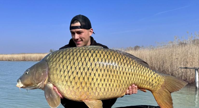 Elképesztő kezdés a horgászszezonban Szigligeten – hatalmas ponty akadt horogra