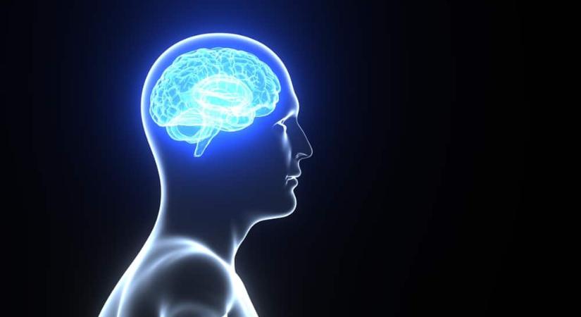 Veszélyben a diákok: agyhártyagyulladás tombol az egyetemen – ketten is meghaltak