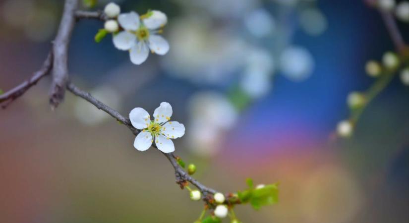 Erős széllel érkezik a hűvösebb idő