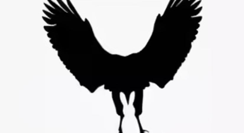 Sas vagy nyúl? Amit először meglátsz, elárulja a legnagyobb félelmedet