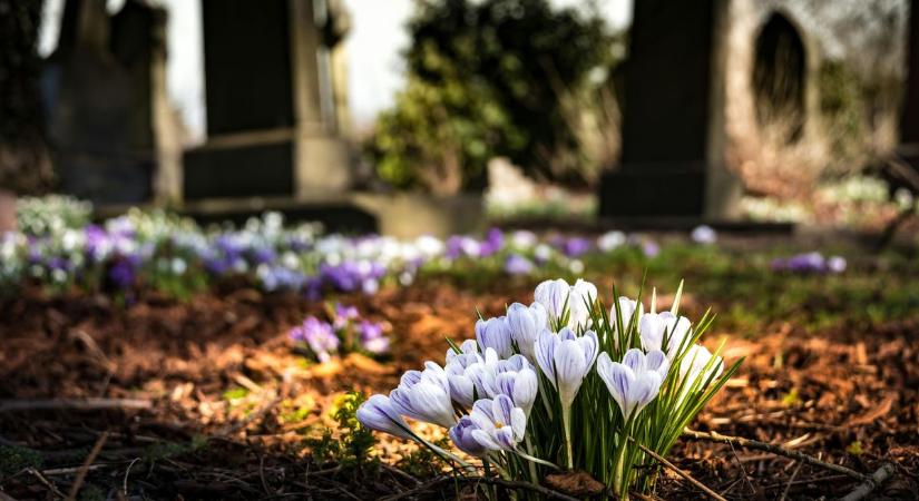 Veszprém vármegyeiek, akik már nem lehetnek közöttünk