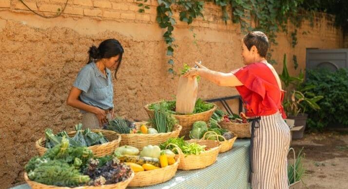Komoly kihívásokkal néz szembe a magyar zöldségágazat – mégis nagy a növekedési potenciál