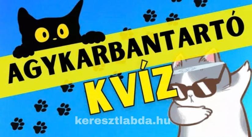 Agykarbantartó feladat a cukiság-csapdából: Vajon te emlékszel a legfontosabb részletre?