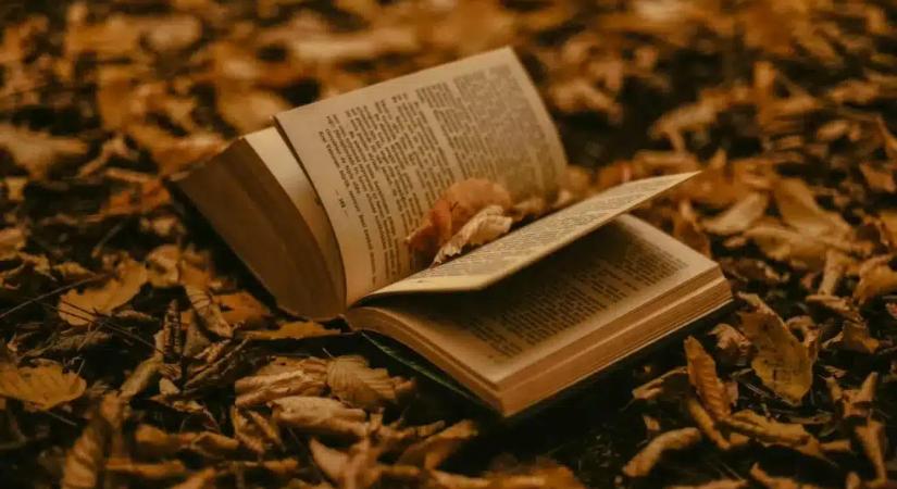 Kőkemény műveltségi kvíz: Ha 5-re helyesen válaszolsz, átlagon felüli vagy!