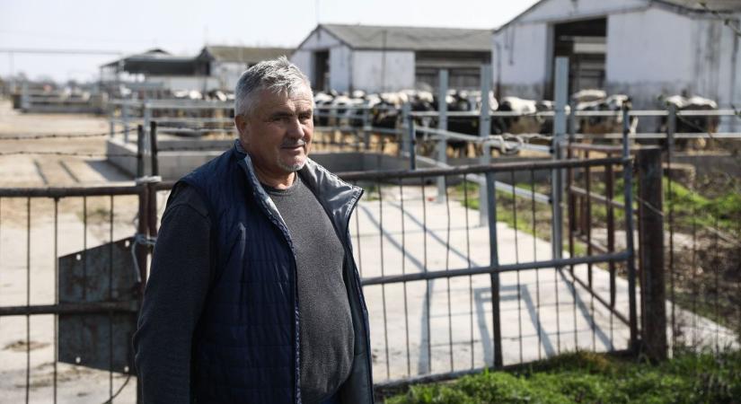 Emlékszik arra a veszedelmre, amely egy éve indult pusztító útjára Kisbajcsról? – Azóta újjászületett a magyar agrárium