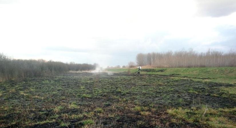 Lángoló határ és roncsok az utakon: 22-szer riasztották a hevesi tűzoltókat