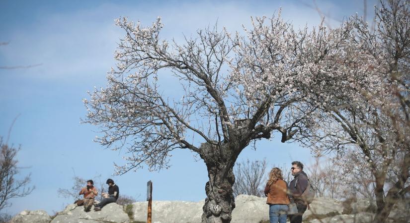 Nagyot ugrik a hőmérséklet: ilyen idő vár Pécsre kedden