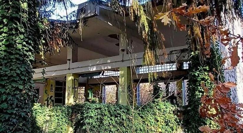 Elképesztő állapotban a baranyai üdülő – egykor rengetegen megfordultak itt! (FOTÓK)
