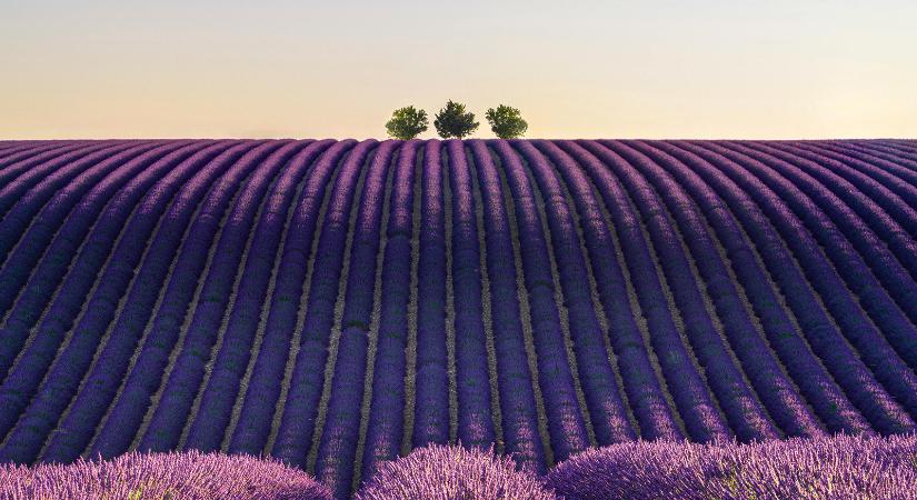 Egy fotóért megéri? Instagram-spotok a világ körül