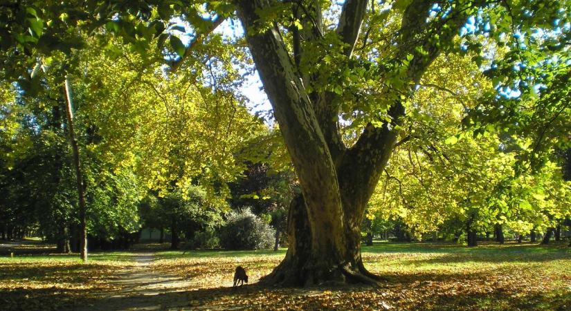Fontos munkálatok indulnak Egerben, erről érdemes mindenkinek tudnia