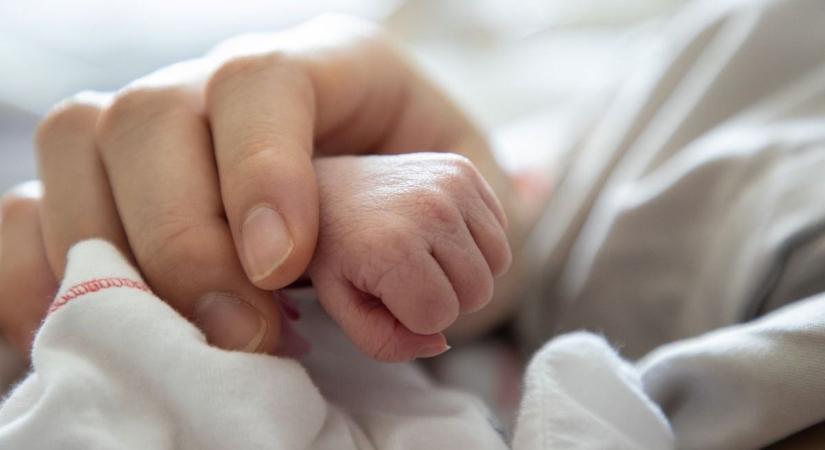 Kecskeméti anyakönyvi hírek, 10. hét