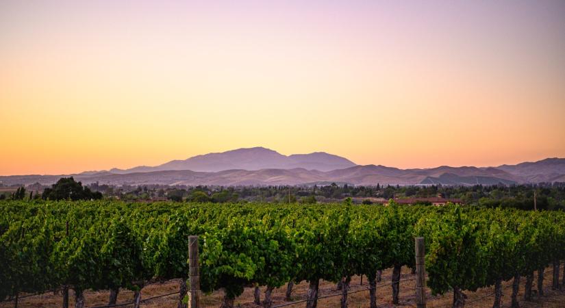 Első évfordulóját ünnepli a borvidékek nemzetközi szövetsége, a The Global AVA