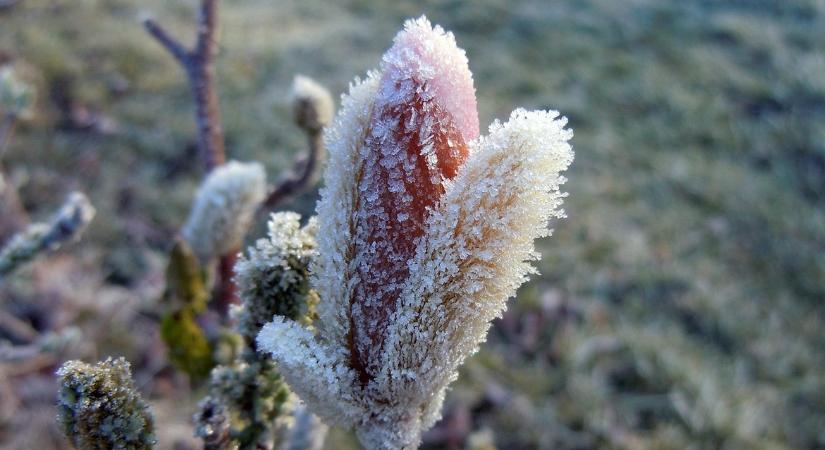 Kisüt a nap, de sovány vigasz: a fagyon és a szeles időn nem segít