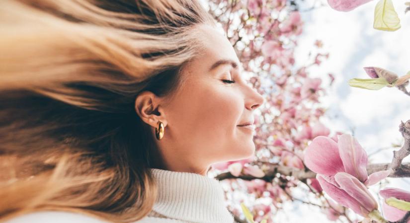 Dús és egészséges hajra vágysz? 7 olcsó és természetes módszer, ami tényleg segít