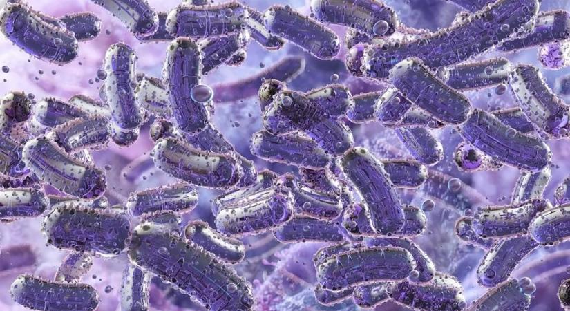 Figyelmeztetés! Így alakulhat ki szepszis egy fertőzésből