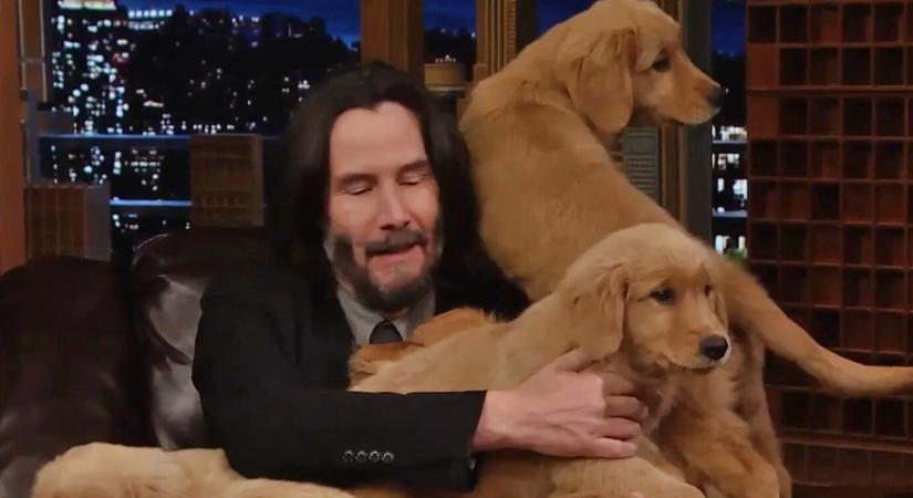 Keanu Reeves-t meglepték egy csapat kölyökkutyával (Videó!)