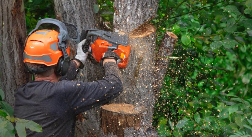 Leáldozhat ezeknek a gépeknek: a fiatalok már hallani sem akarnak róluk