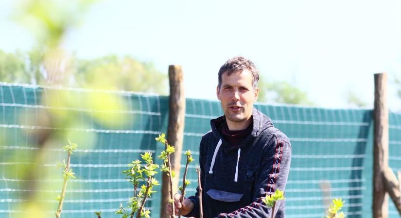 A szakember figyelmeztet: ezek a kerti növények a héten elpusztulhatnak, ha nem lépsz időben