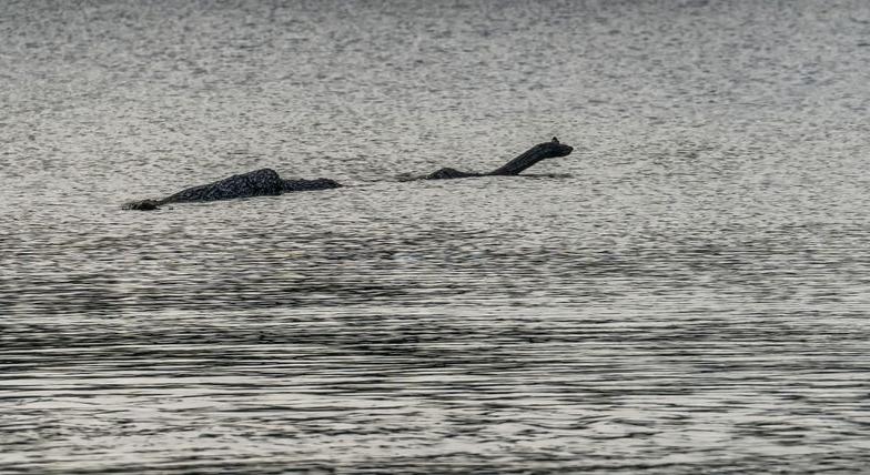A Loch Ness-i szörnynek már családja is van