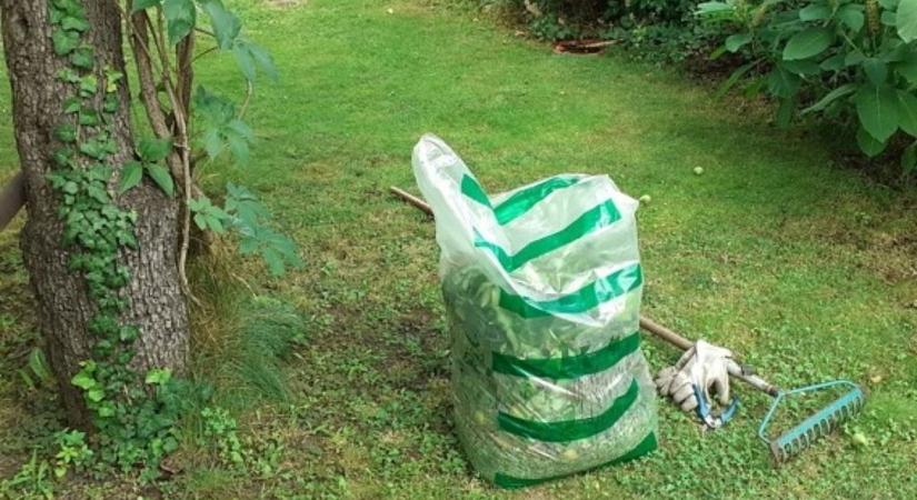 Az idén is segít az önkormányzat a zöld hulladék gyűjtésében