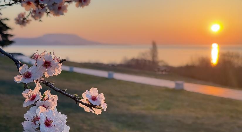 Eső jön a hidegfronttal, de a mezőgazdaságnak ez még édeskevés