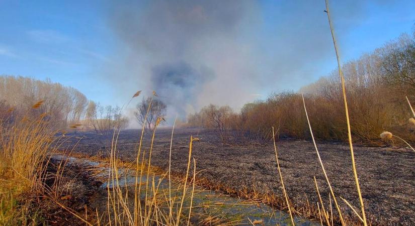 Az égig szállt a fekete füst – videóra vették a pusztító tiszafüredi tűzesetet