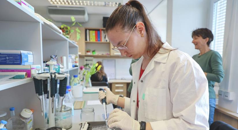 Világító sejtek, mini agyak és a függőségek titkai – különleges program készül Szegeden