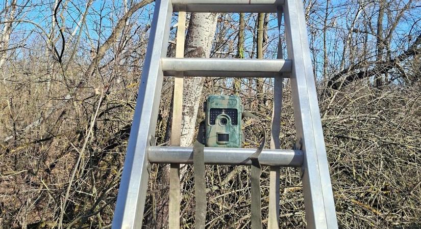 Vadkamerákkal veszik célba az illegális hulladéklerakókat – már több feljelentést is tettek