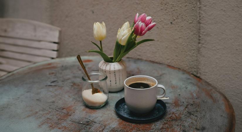 Napi üzenet kedd – 2026. 03. 17.