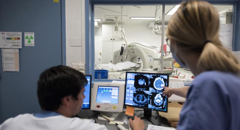 Meghökkentő térkép készült az agyunkról, teljesen átrajzolja azt, amit eddig gondoltunk