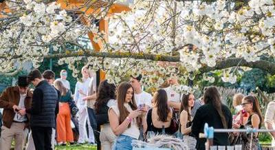 Nem fesztivál, hanem borvidéki élmény – Új irányt erősít az Etyeki Piknik