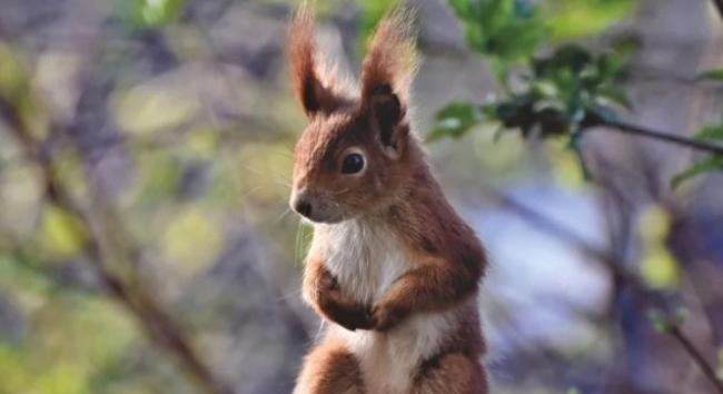 Több mint 20 Celsius-fok volt a napi hőingás az ország egyes részein