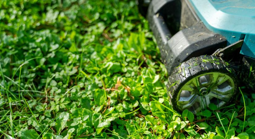 Készülhetnek a magyar kertesház-tulajok: óriási változás élesedik, ez alól nem lehet kibújni