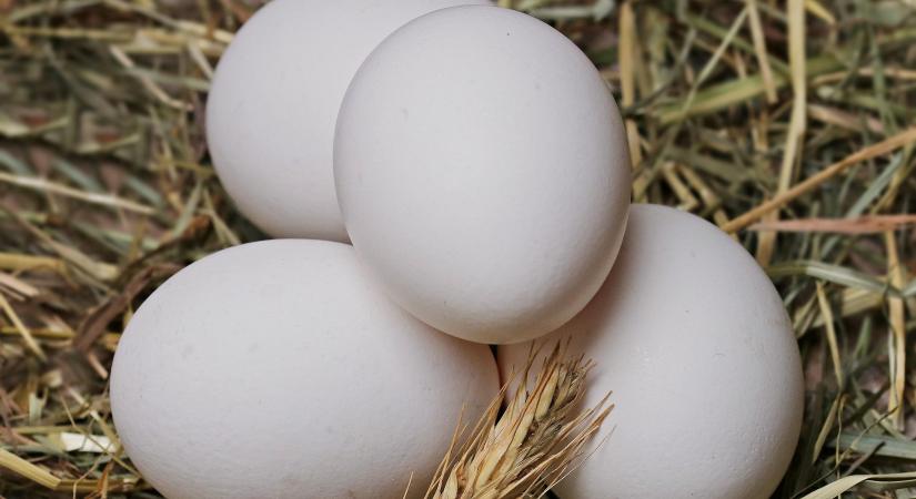 Több mint 60%-al növekszik az ukrán export