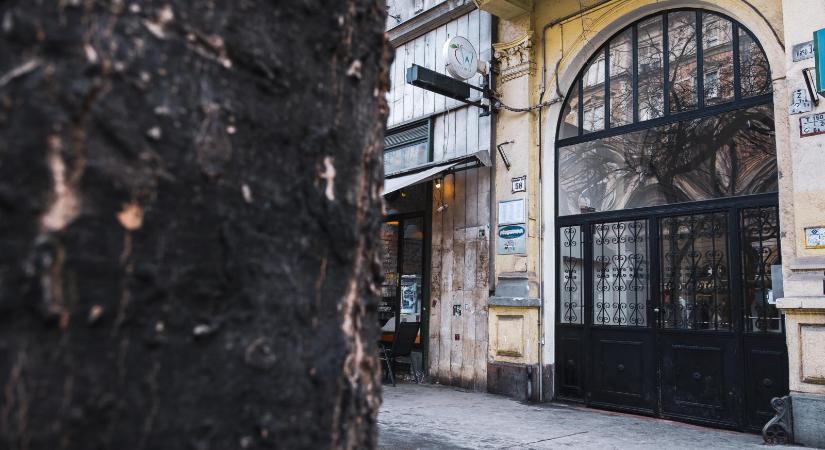 Kábítószer-birtoklás gyanúja miatt nyomoznak a Magyar Péter-féle házibuli miatt