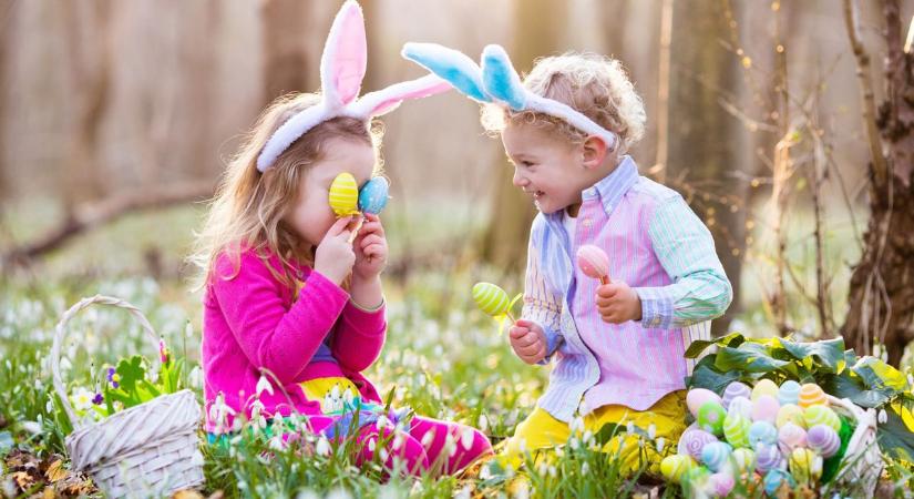 Különleges programok a leendő elsősöknek